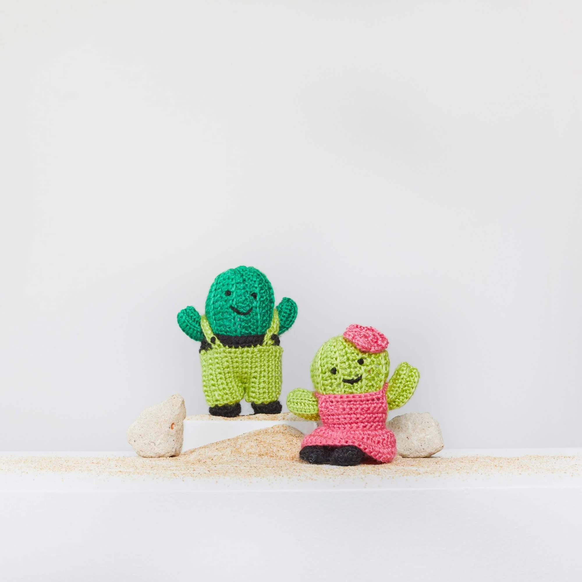 Crochet Cactus Pattern Featuring Agave and Aloe